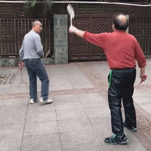 Everlasting Voyager 2024